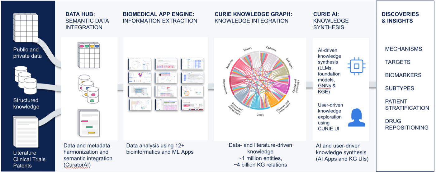 Data4Cure Biomedical Intelligence Cloud and CURIE Knowledge Graph