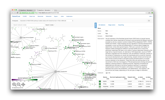 Data4Cure Multiscale Maps visualization